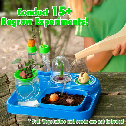 Cultivate Wonder: Regrow Science Lab for Sustainable Gardening Adventures | Ages 7 to 10 Science To The Max