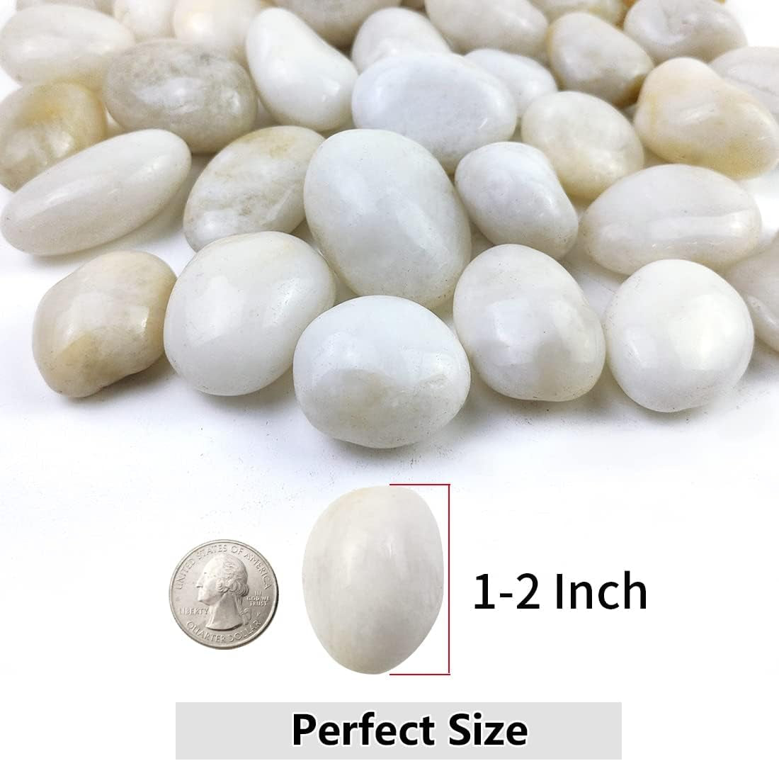 5Lbs White River Rocks, 1-2 Inch Natural Pebbles for Indoor Plants, High Polished Decorative Stones Vase Filler Fish Tank Aquariums Landscaping Garden Outdoor and Indoor DIY