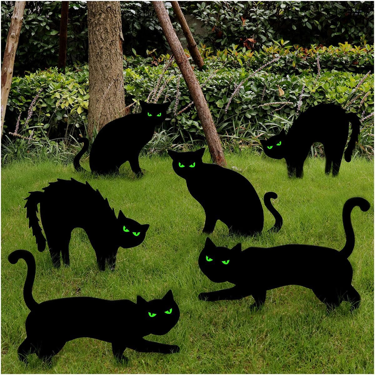 Black Cat Decor