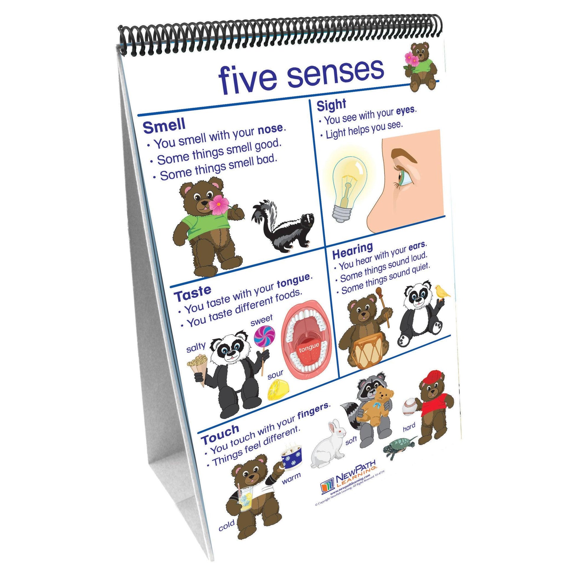Early Childhood Science Readiness Flip Chart, All About Me - Loomini