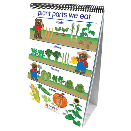 Early Childhood Science Readiness Flip Charts, All About Plants - Loomini