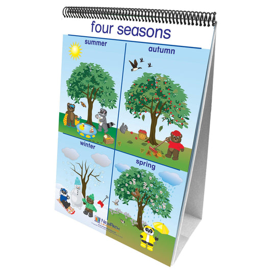 Early Childhood Science Readiness Flip Charts, Weather & Sky - Loomini