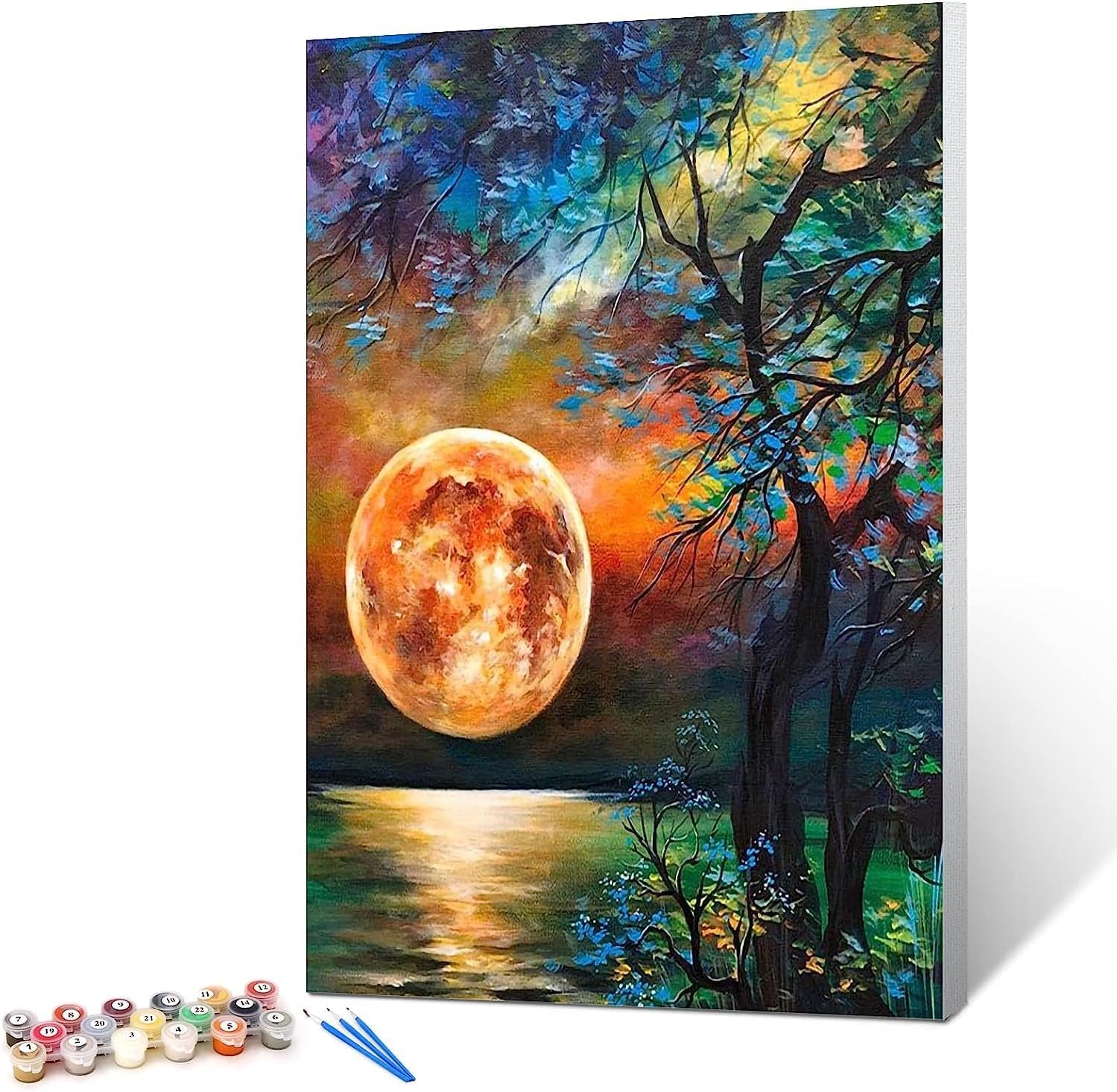 Paint by Numbers for Adults Beginner & Kids Ages 8-12 with Wooden Frame Easy Acrylic on Canvas 9X12 Inch with Paints and Brushes, Vase Flower(Include Framed)