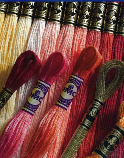 DMC Embroidery Floss Pack, Popular Colors, DMC Embroidery Thread, DMC Floss Kit Include 36 Assorted Color Bundle with DMC Mouline Cotton White/Black and DMC Cross Stitch Hand Needles.