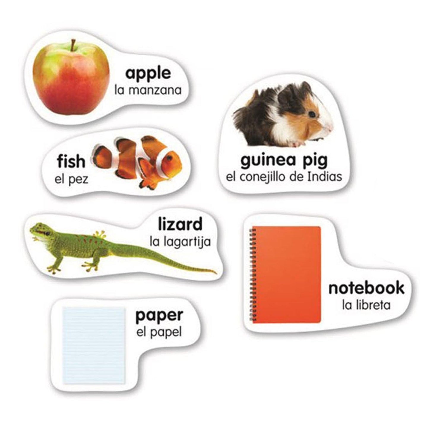 English-Spanish Photo Word Wall Bulletin Board Set - Loomini