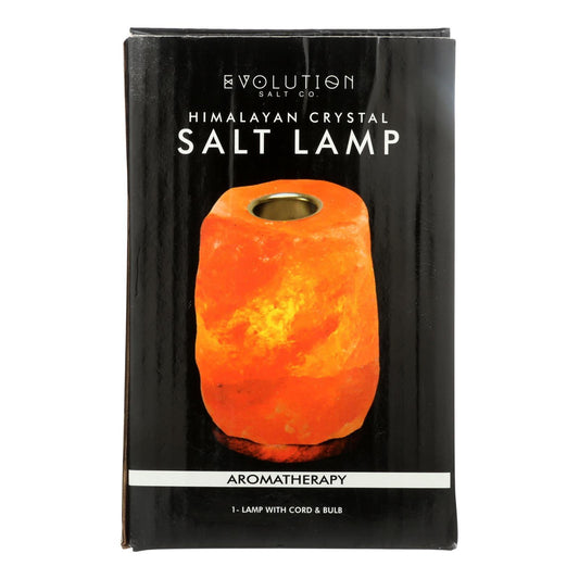 Evolution Salt Crystal Salt Lamp - Aromatherapy - 1 Count - Loomini