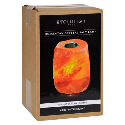 Evolution Salt Crystal Salt Lamp - Aromatherapy - 1 Count - Loomini