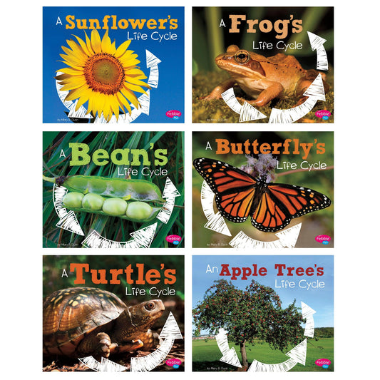 Explore Life Cycles, Set of 6 books - Loomini