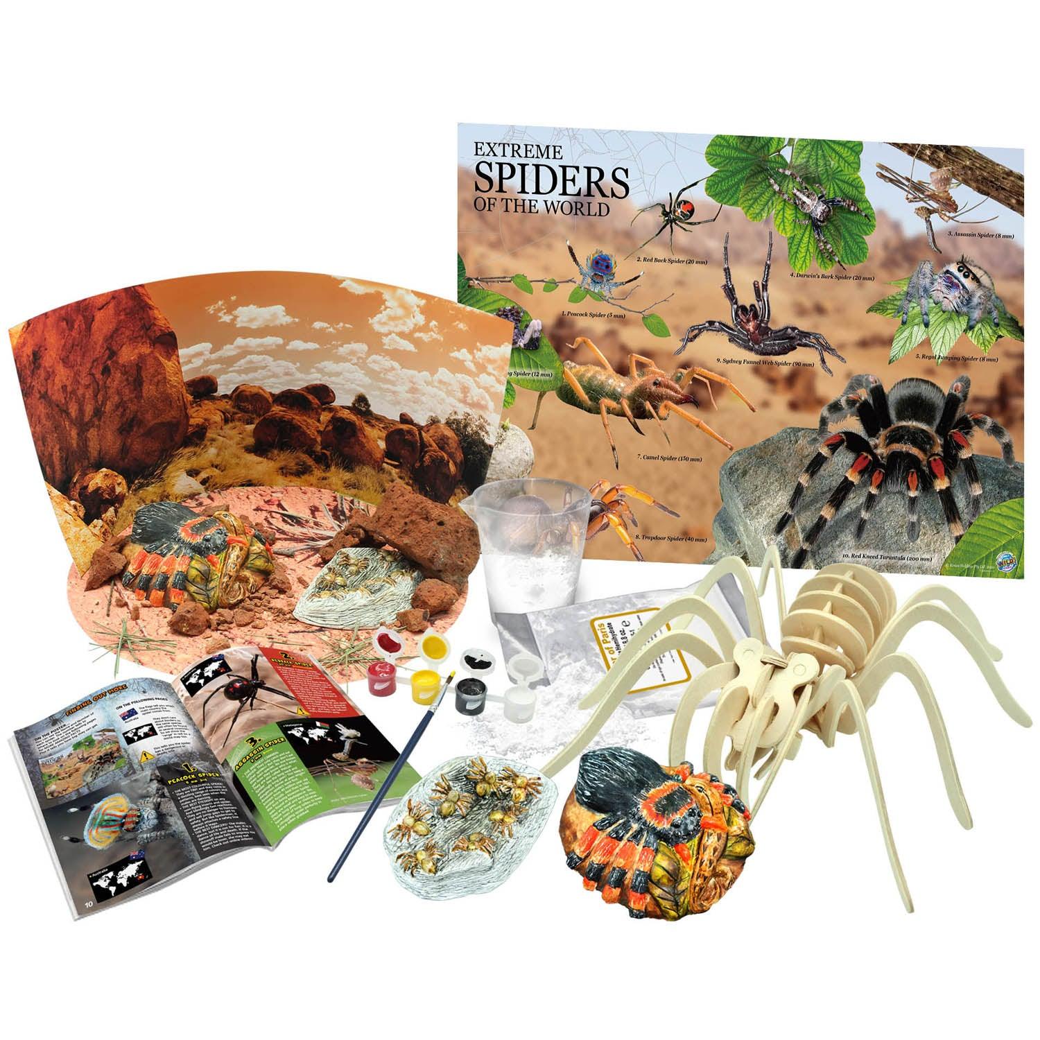 Extreme Spiders of the World - For Ages 6+ - Create and Customize Models and Dioramas - Study the Most Extreme Animals - Loomini