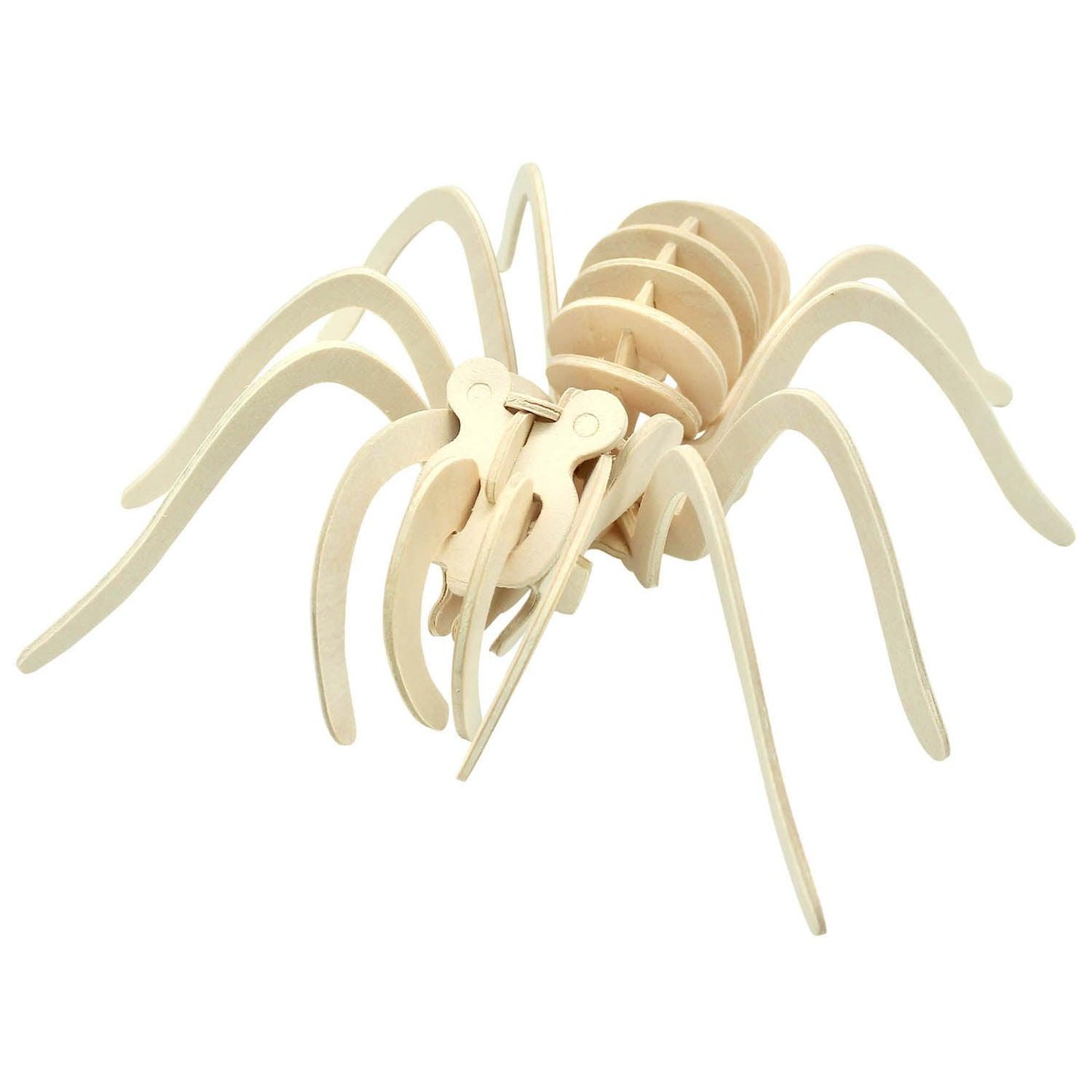 Extreme Spiders of the World - For Ages 6+ - Create and Customize Models and Dioramas - Study the Most Extreme Animals - Loomini