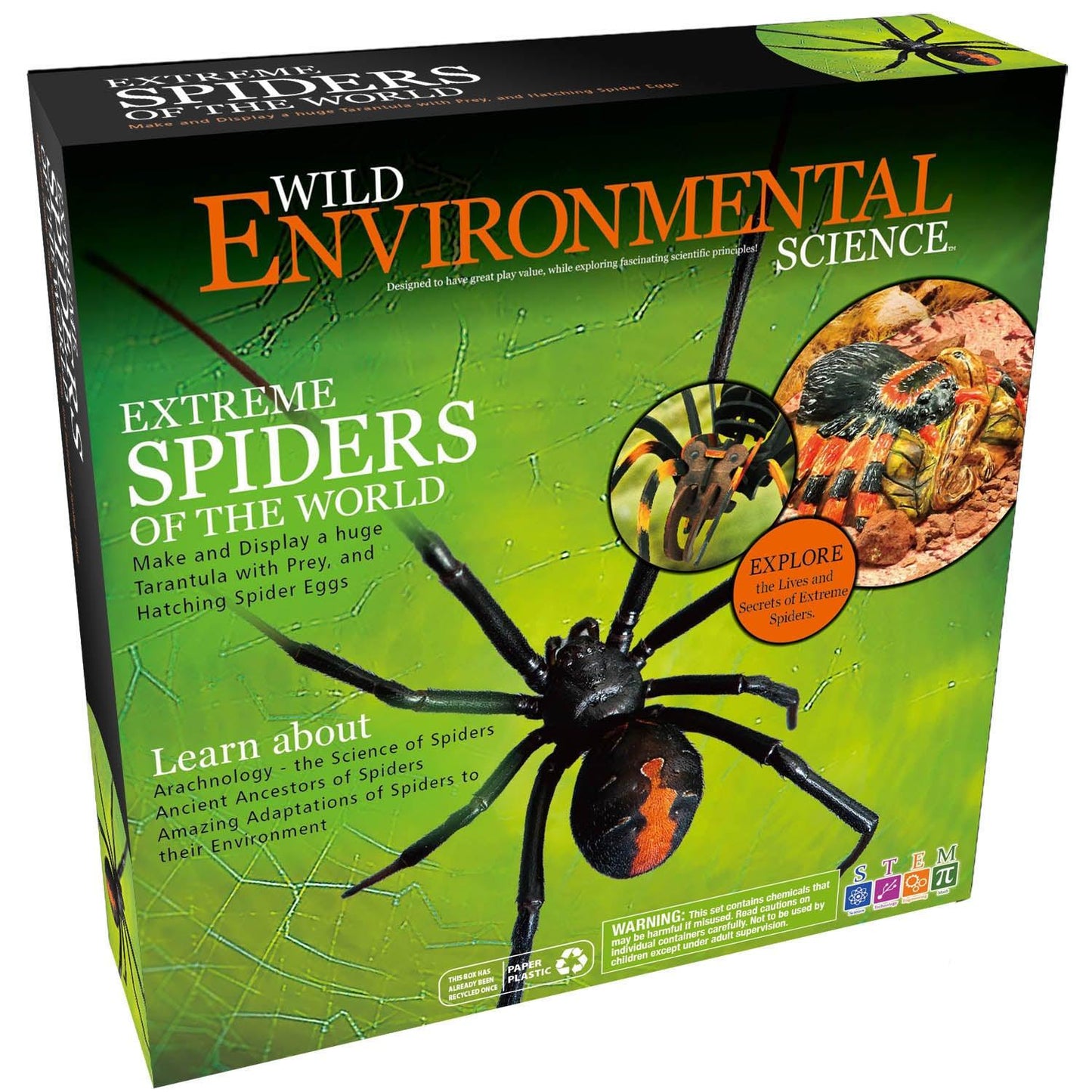Extreme Spiders of the World - For Ages 6+ - Create and Customize Models and Dioramas - Study the Most Extreme Animals - Loomini
