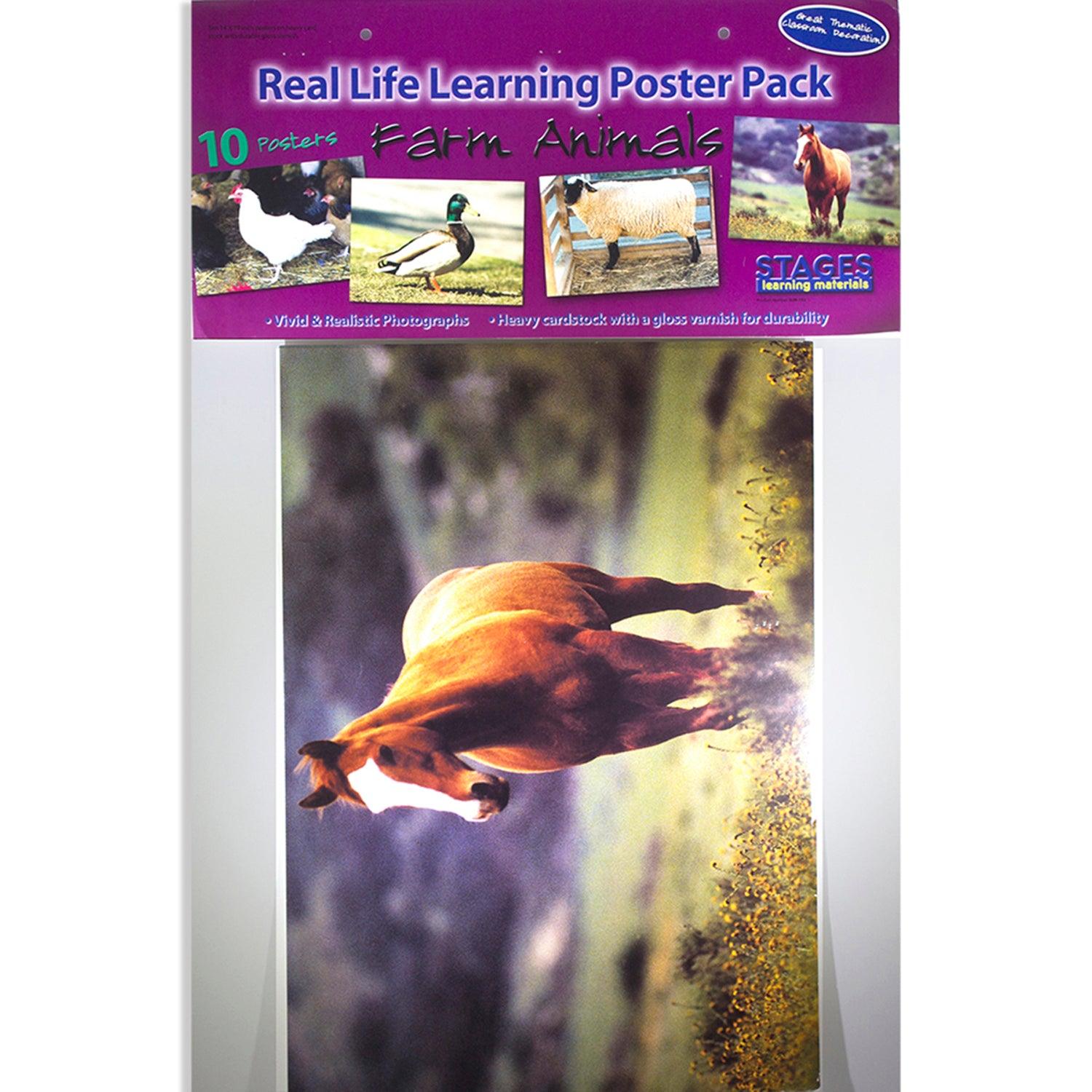 Farm Animal Real Life Learning Poster Set, Set of 10 - Loomini