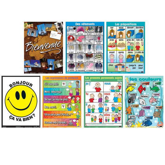 French Essential Classroom Posters Set II - Loomini