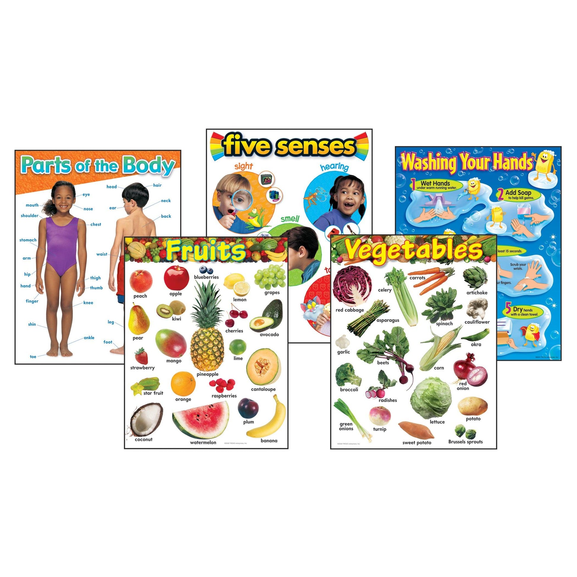 Healthy Living Learning Charts Combo Pack, Set of 5 - Loomini