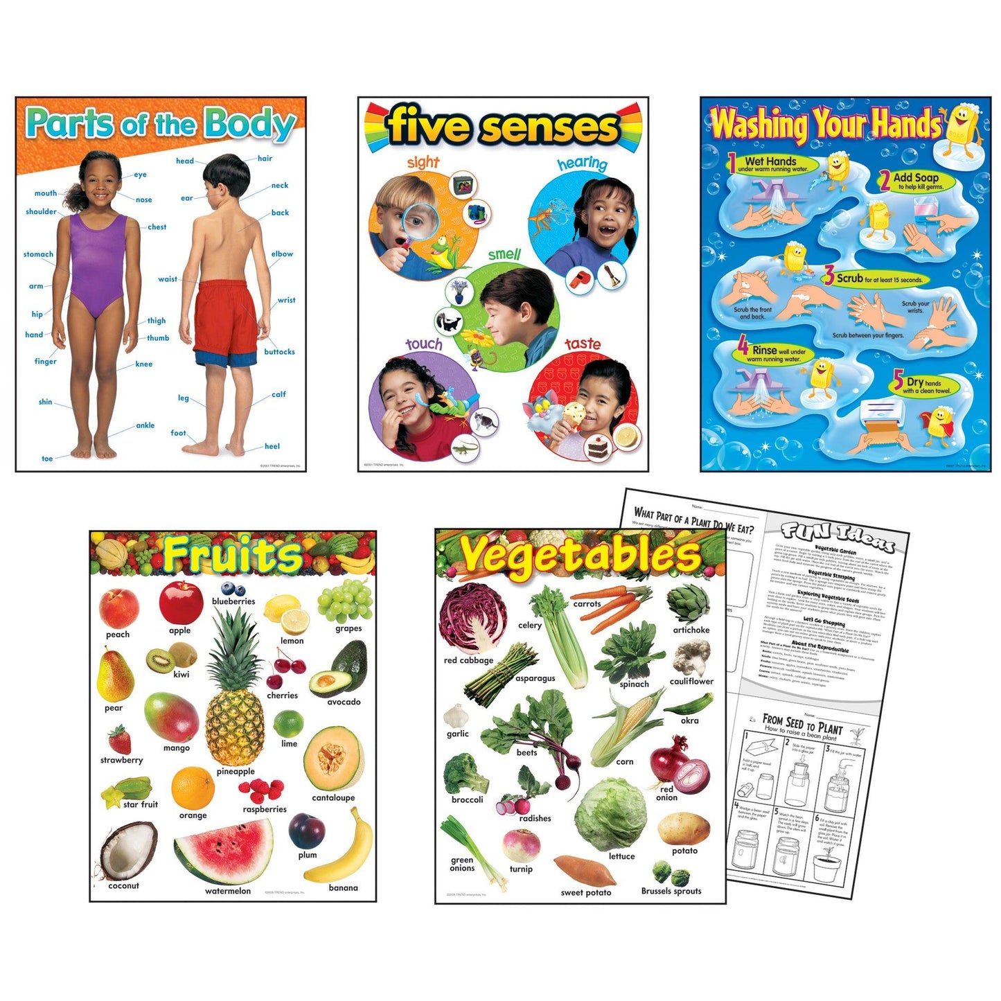 Healthy Living Learning Charts Combo Pack, Set of 5 - Loomini