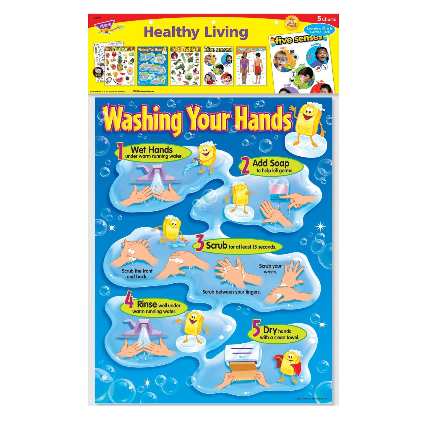 Healthy Living Learning Charts Combo Pack, Set of 5 - Loomini