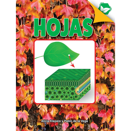 Hojas Book, Hardcover Discovery Library