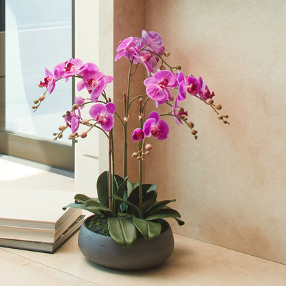 Faux 24” Phalaenopsis Orchid