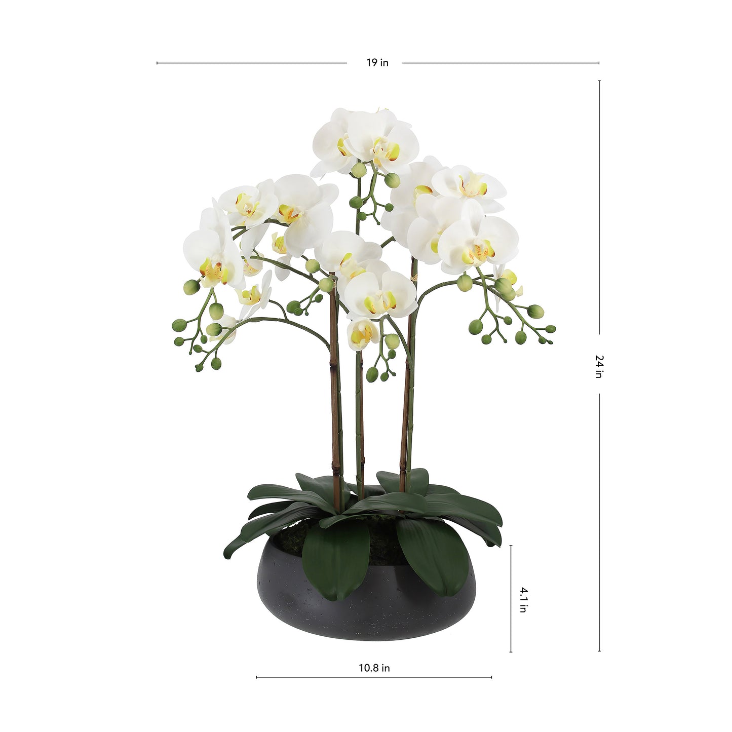 Faux 24” Phalaenopsis Orchid