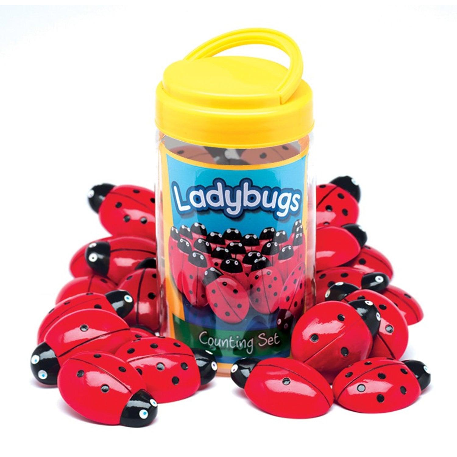 Ladybugs Counting Set, Pack of 22 - Loomini