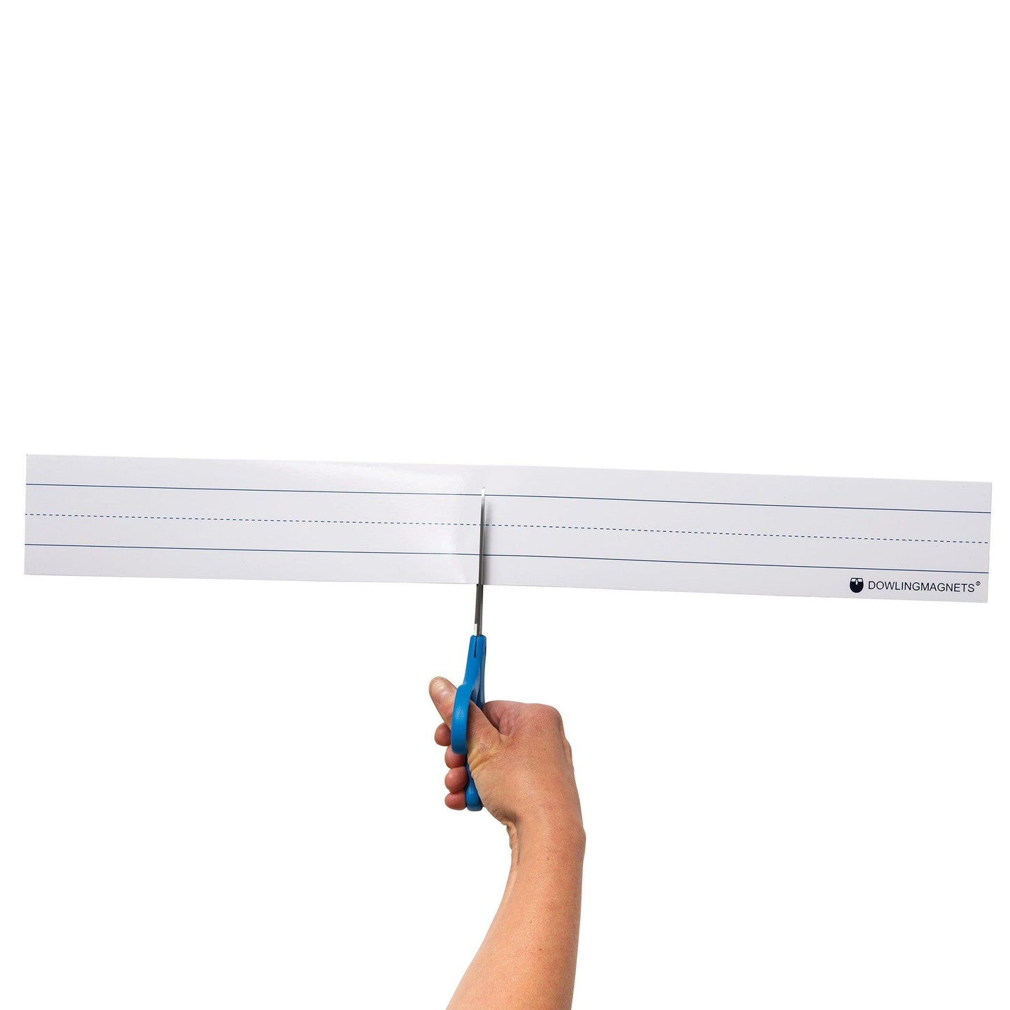 Large Magnetic Sentence Strips, 10 Pieces - Loomini