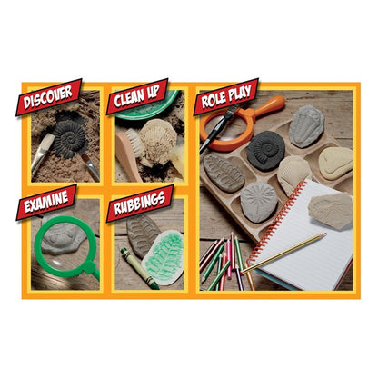 Let's Investigate Fossil Stone, Pack of 8 - Loomini