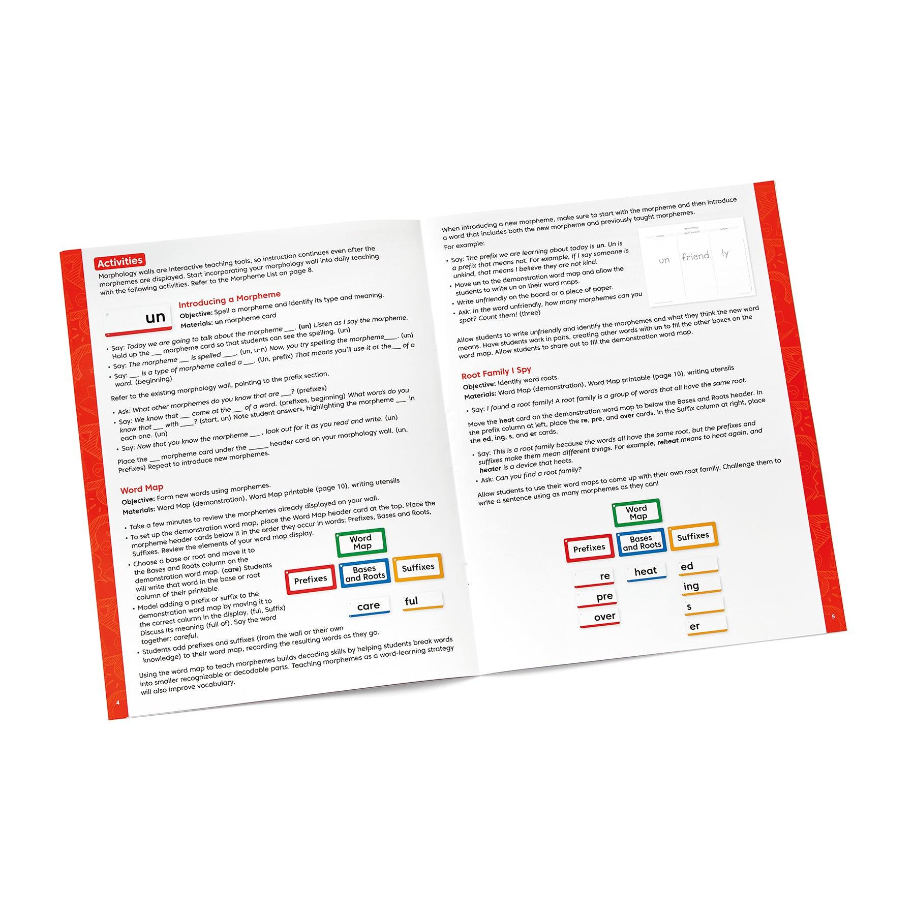 Morphology Wall Card Set - Loomini