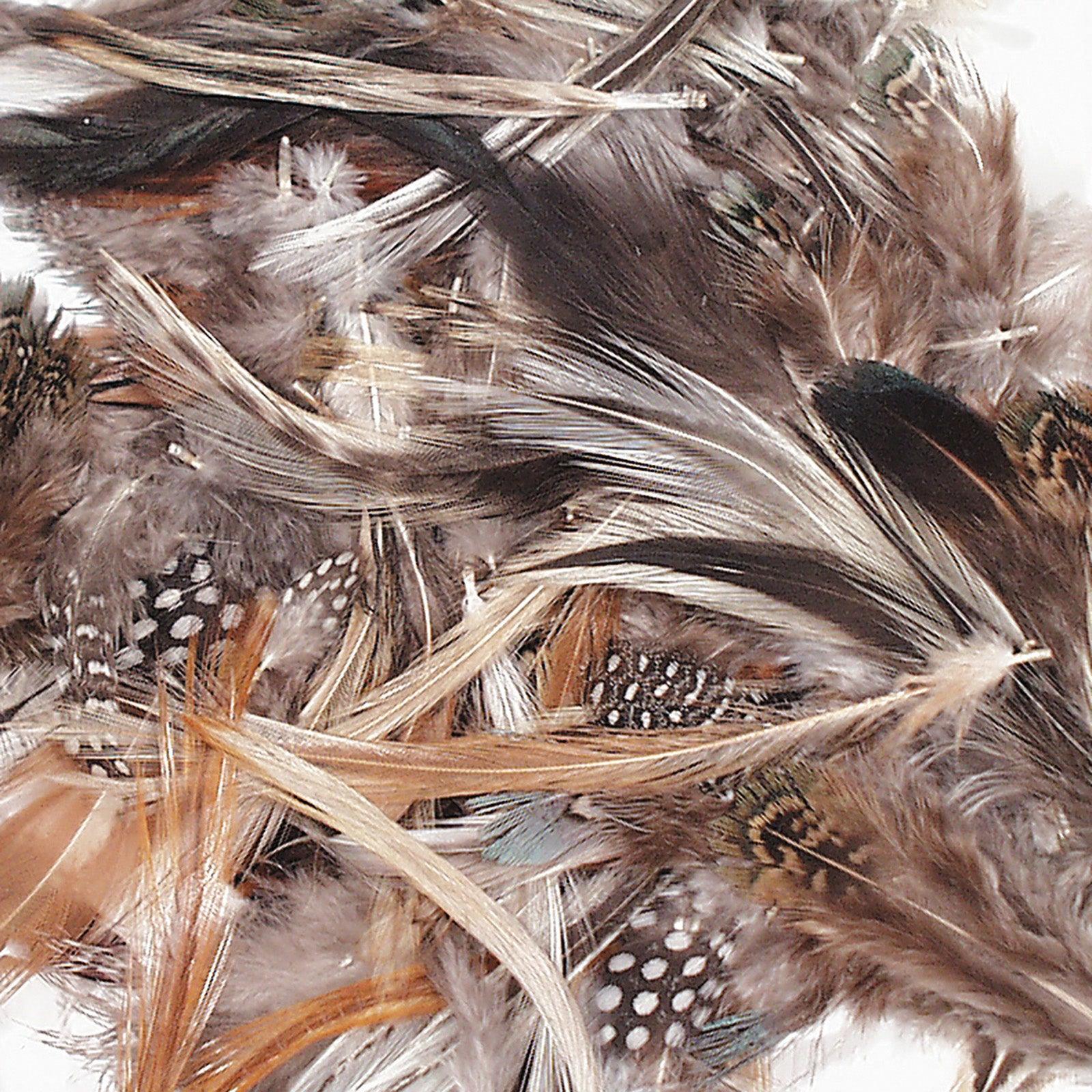 Natural Feathers, Natural Assorted Colors, Assorted Sizes, 1/2 oz. - Loomini