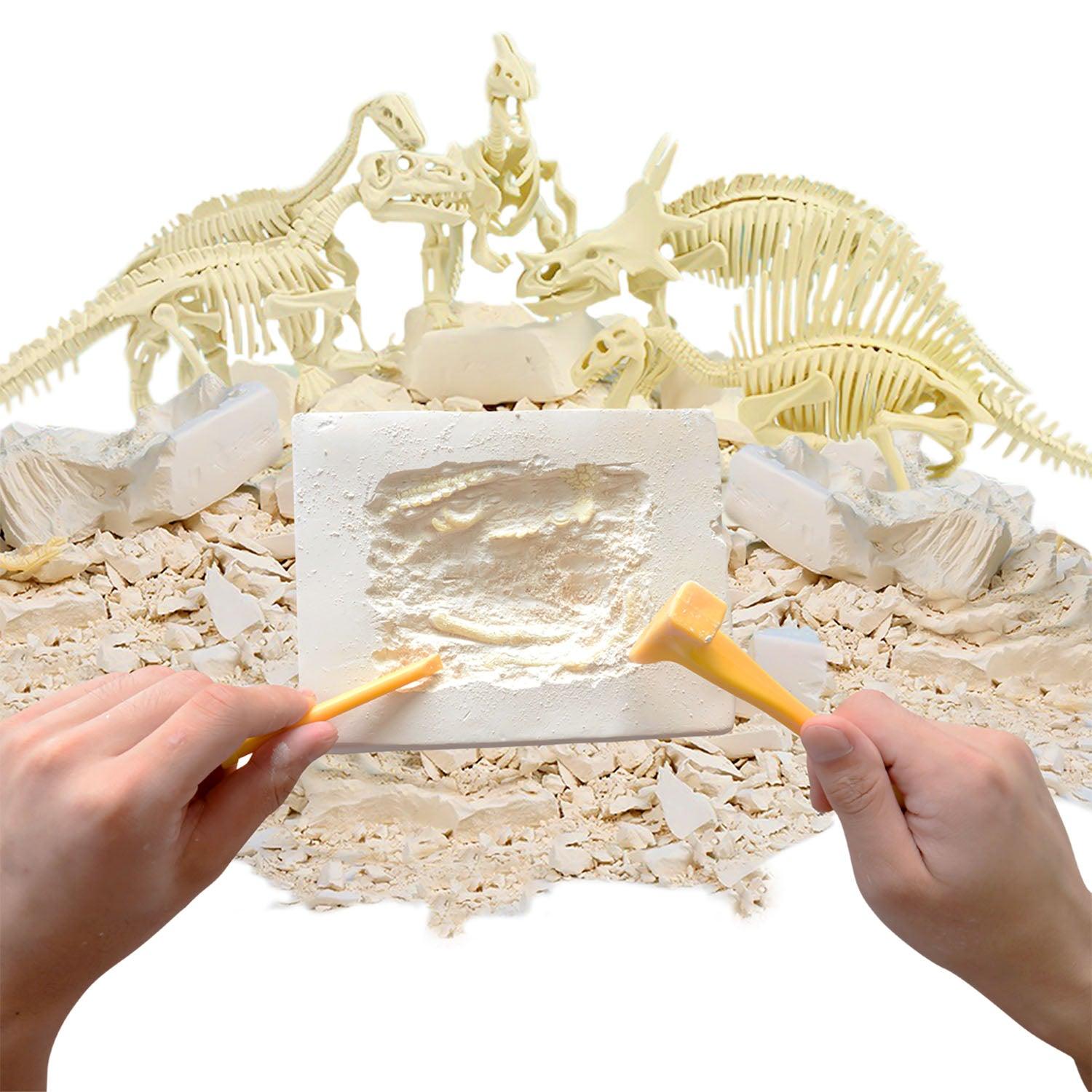 Paleo Hunter™ Dig Kit for STEAM Education - Tyrannosaurus Rex - Loomini