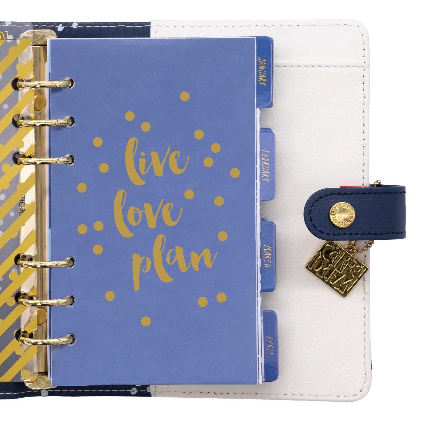 Personal Planner - Color Wash - Loomini