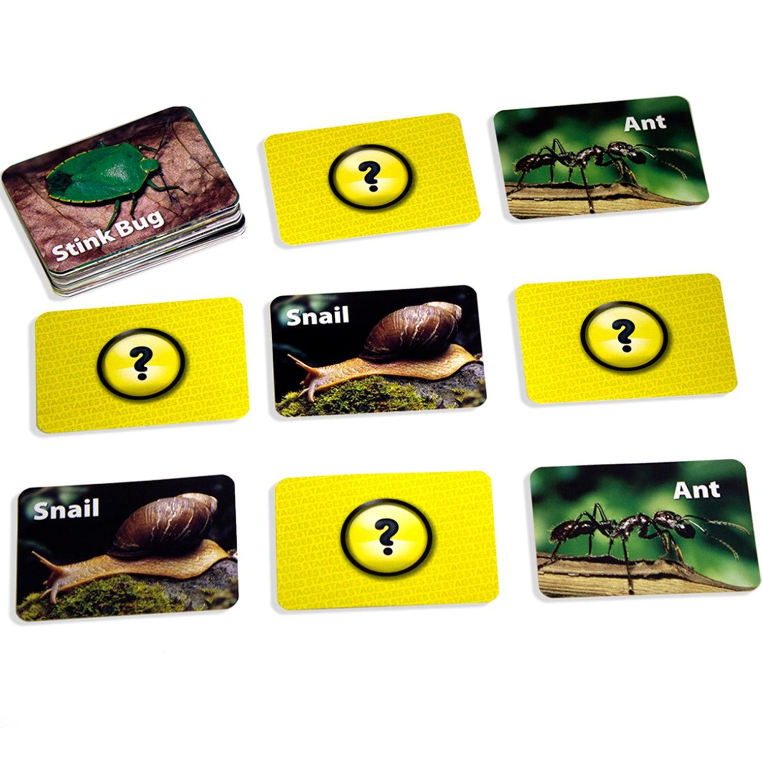 Photographic Memory Matching Game, Insects & Bugs, Pack of 3 - Loomini