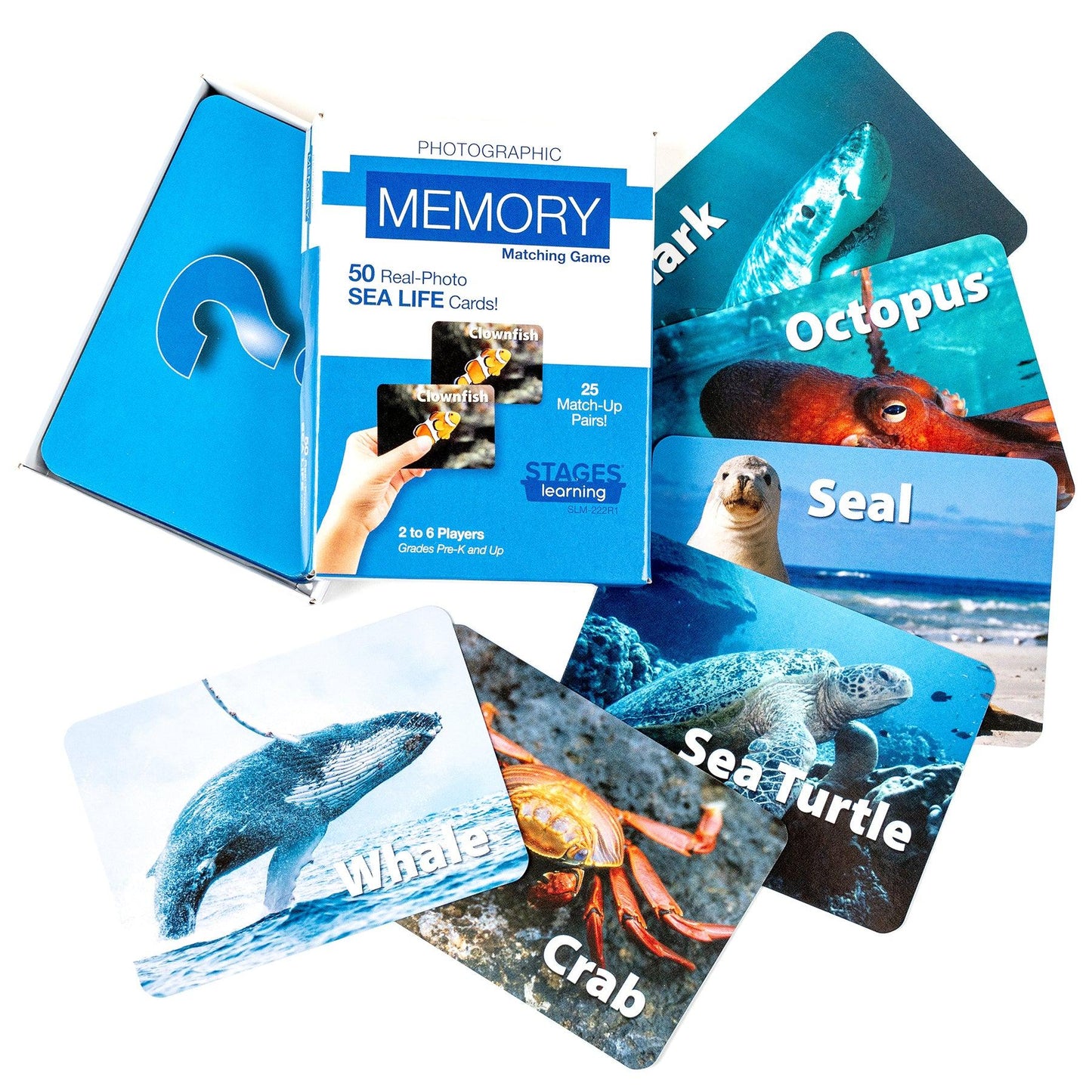 Photographic Memory Matching Game, Sea Life, Pack of 3 - Loomini