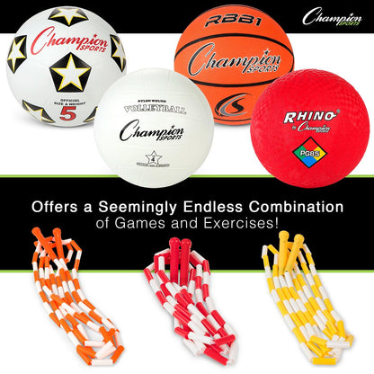 Physical Education Kit with 7 Balls & 14 Jump Ropes, Assorted Colors - Loomini
