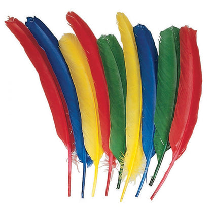 Quill Feathers, Assorted Colors, 12", 24 Per Pack, 3 Packs - Loomini