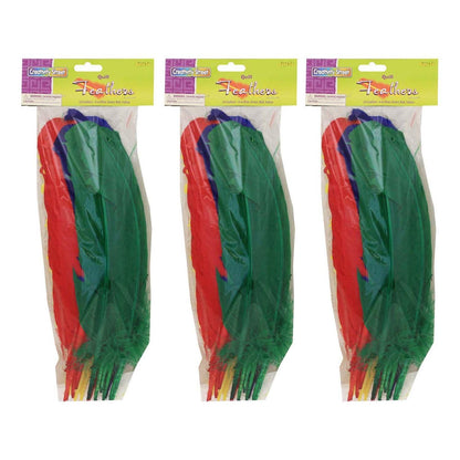Quill Feathers, Assorted Colors, 12", 24 Per Pack, 3 Packs - Loomini