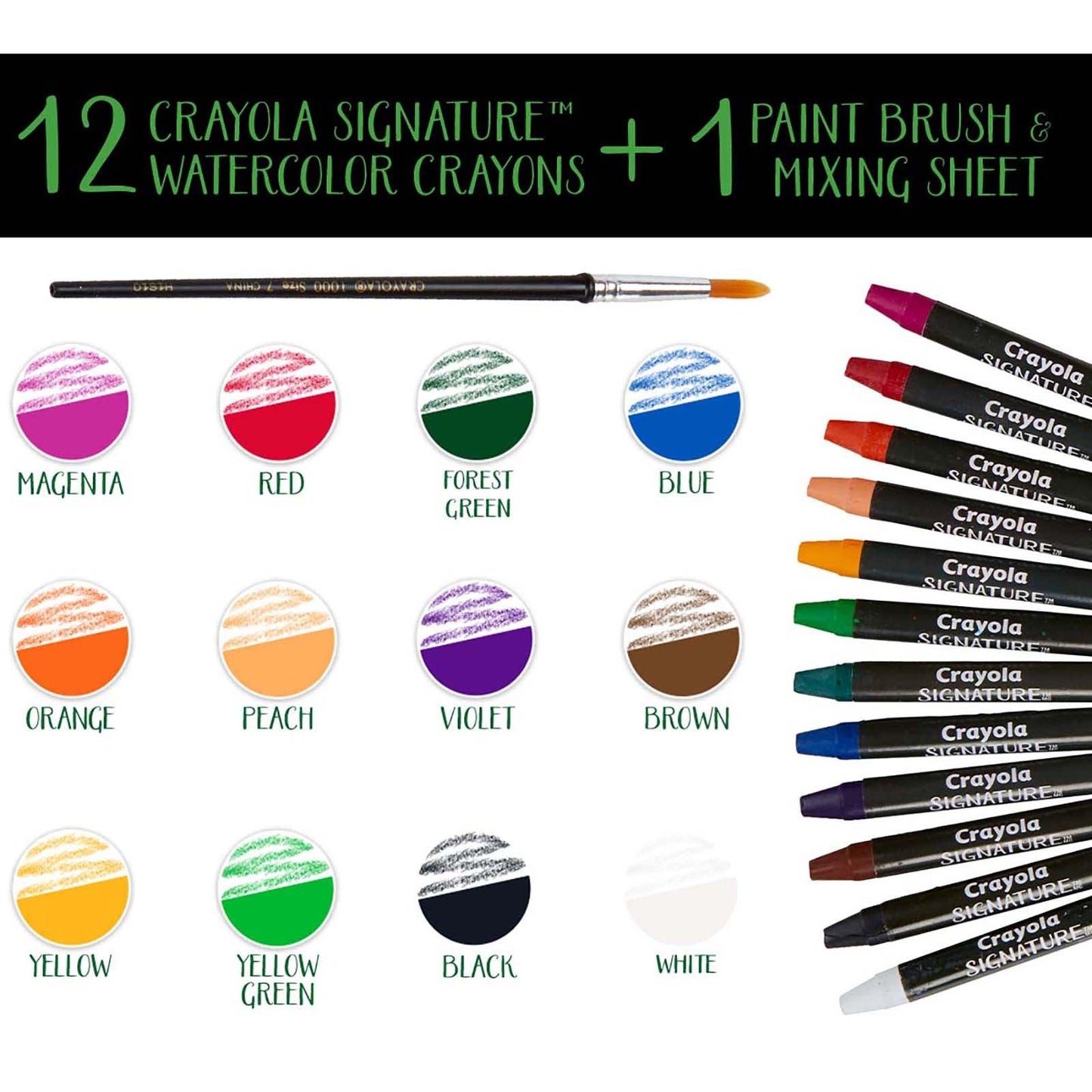 Signature Watercolor Crayons, 12 Per Pack, 2 Packs - Loomini