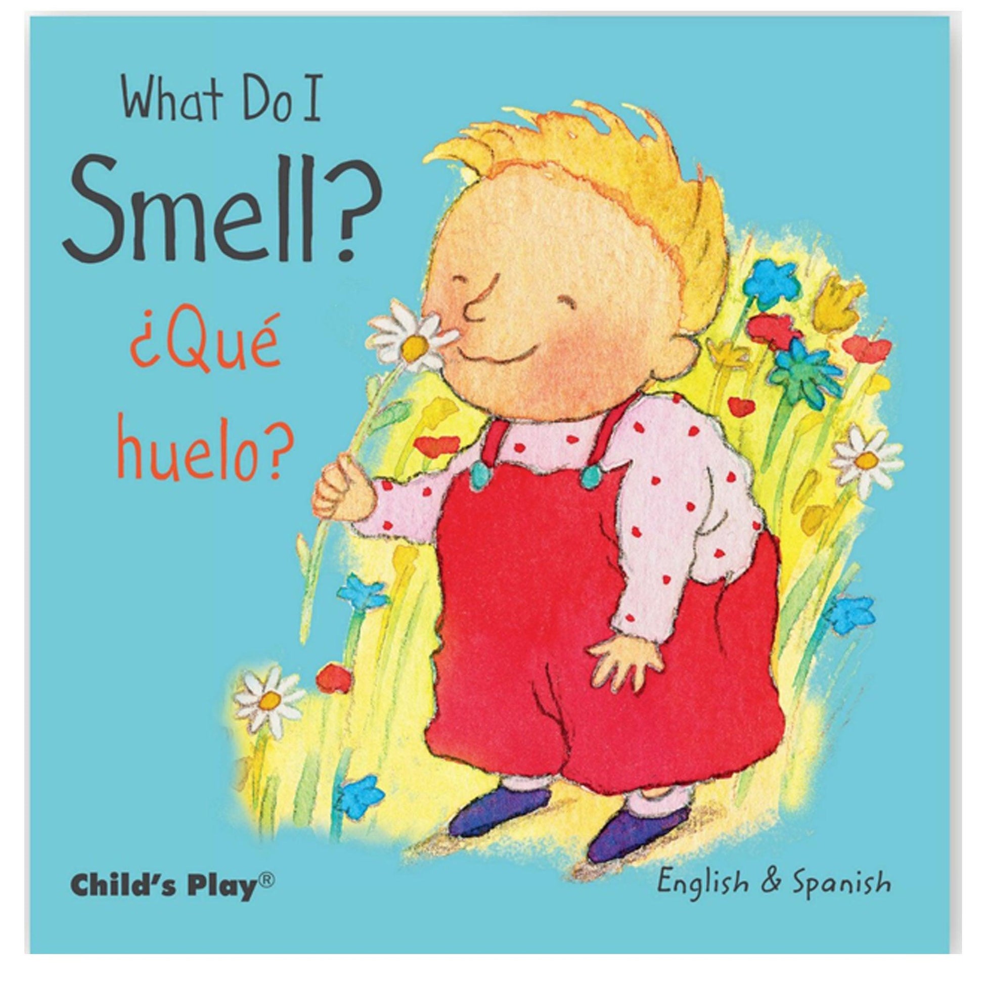 Small Senses Bilingual Board Books, Set of 5 - Loomini