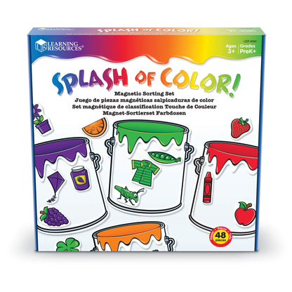 Splash of Color Magnetic Sorting Set - Loomini