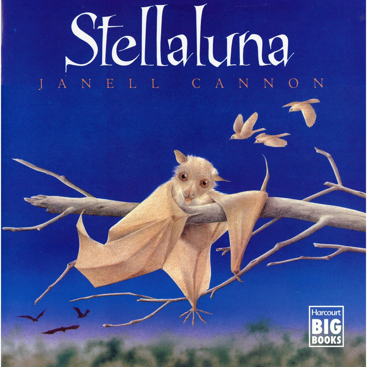 Stellaluna Big Book - Loomini