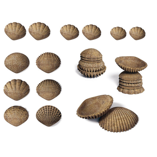 Tactile Shells - Eco-Friendly - 36 Pieces, 6 Textures, 3 Sizes - Ages 18m+ - Loomini