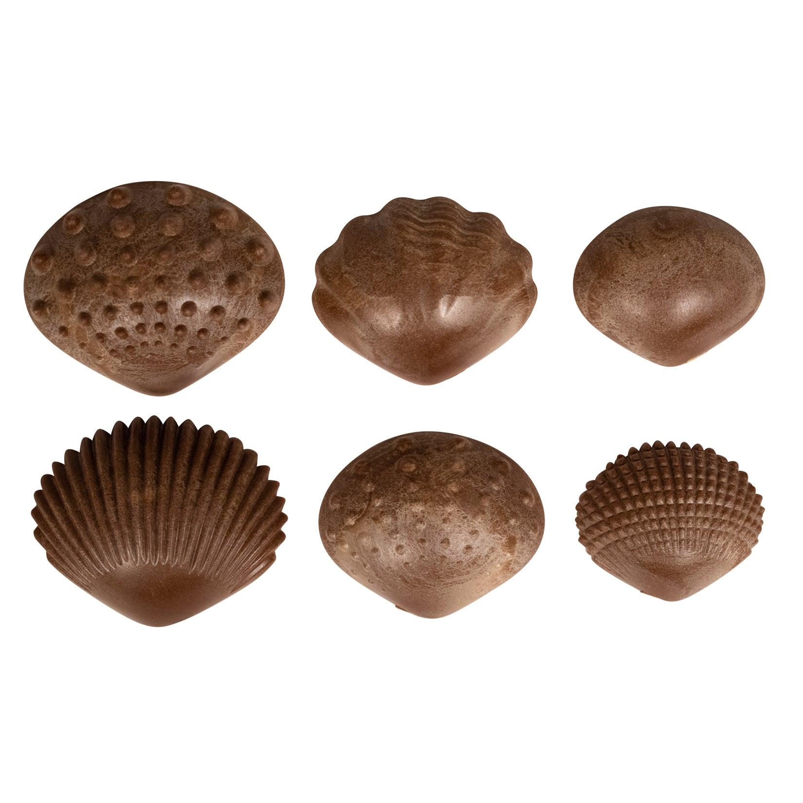 Tactile Shells - Eco-Friendly - 36 Pieces, 6 Textures, 3 Sizes - Ages 18m+ - Loomini