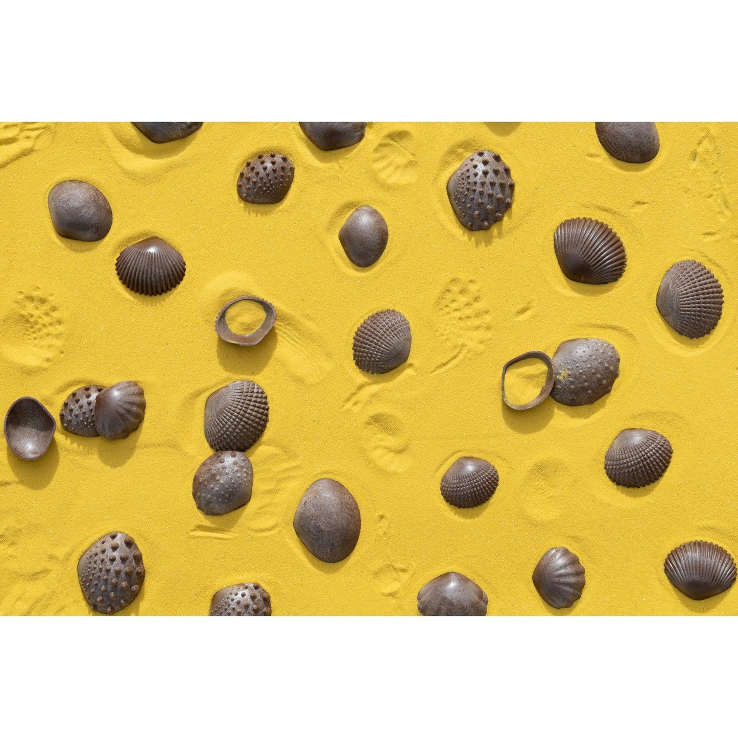 Tactile Shells - Eco-Friendly - 36 Pieces, 6 Textures, 3 Sizes - Ages 18m+ - Loomini