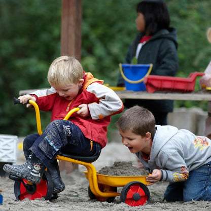 Tricycle with Tray Winther