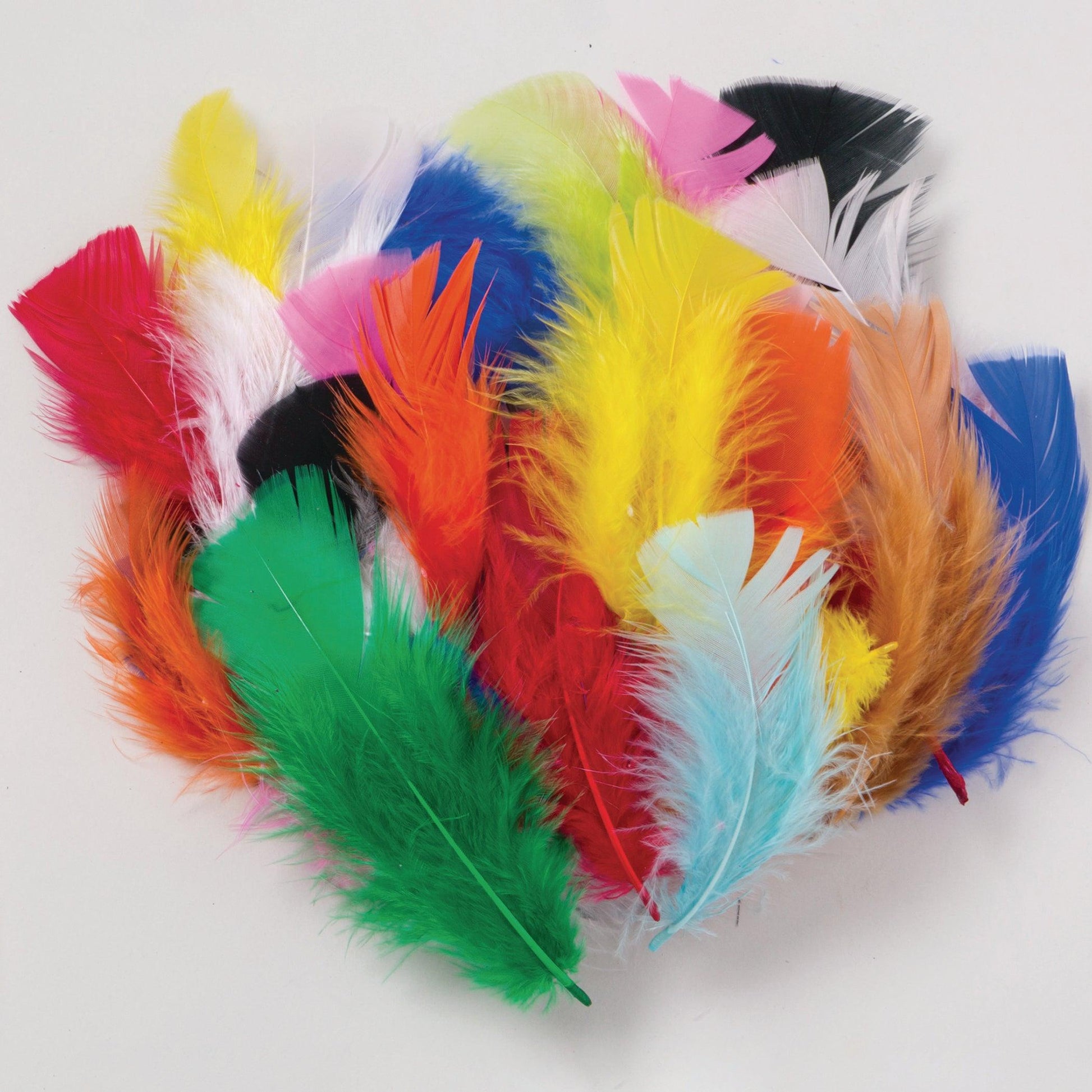 Turkey Plumage Feathers, Bright Hues Assorted, Assorted Sizes, 1 oz. Per Bag, 6 Bags - Loomini