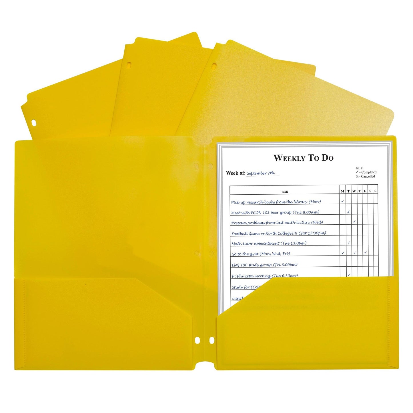 Two-Pocket Heavyweight Poly Portfolio Folder with Three-Hole Punch, Yellow, Pack of 25 - Loomini