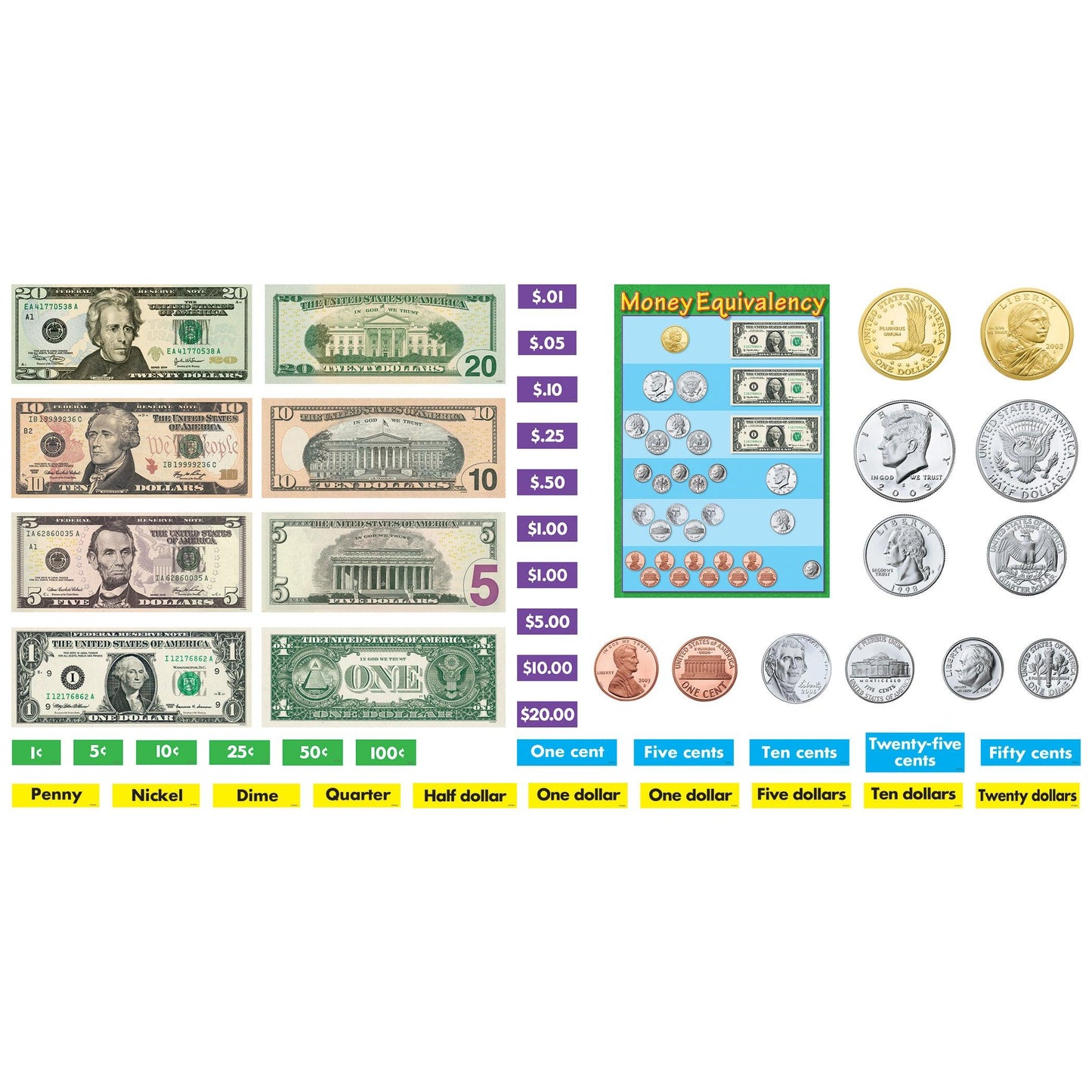 U.S. Money Bulletin Board Set - Loomini