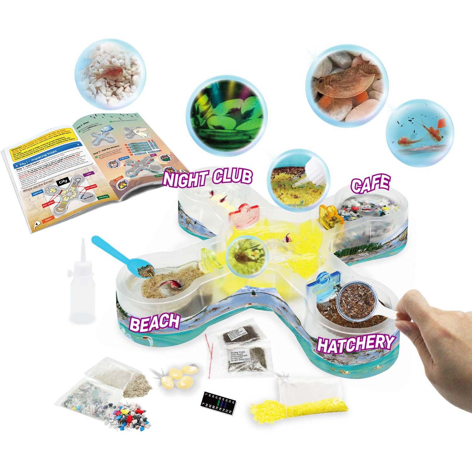 Under Water City Triopolis - Science Kit for Ages 8+ - Hatch Triassic Dinosaur Living Fossils - Eggs and Tank Included - Loomini