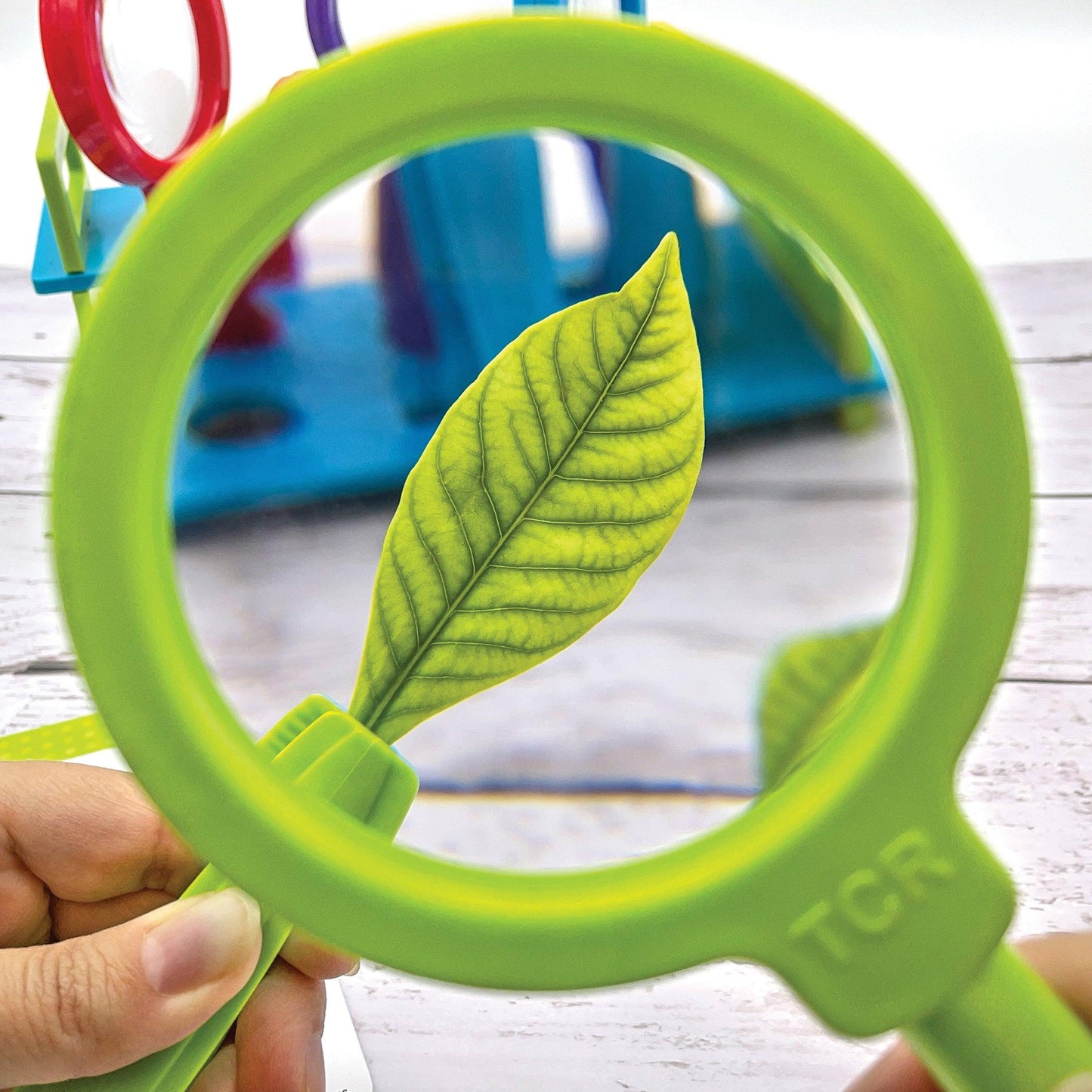 Up-Close Science: Magnifying Glasses & Tweezers Activity Set - Loomini