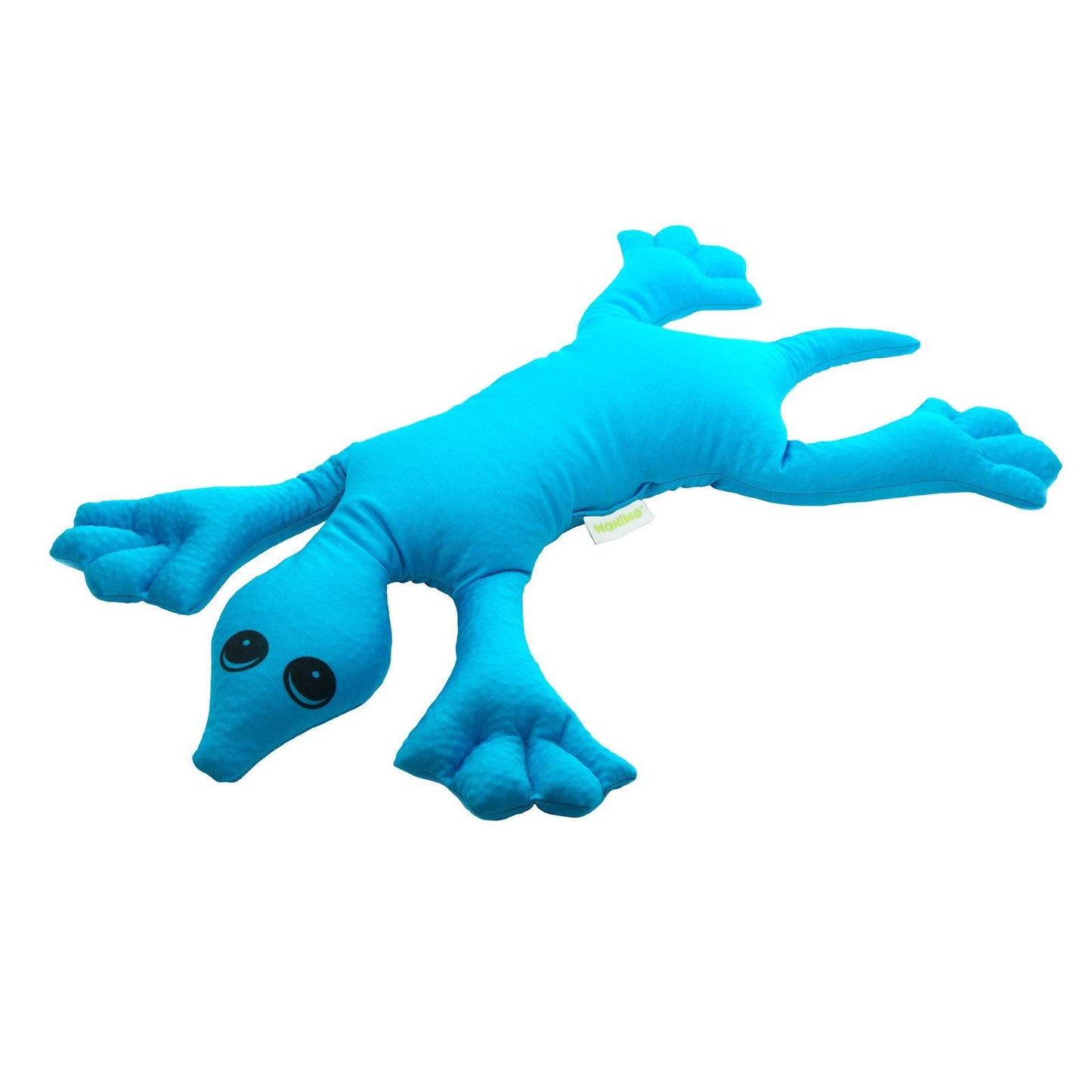 Weighted Turtle Turquoise 2 kg - Loomini