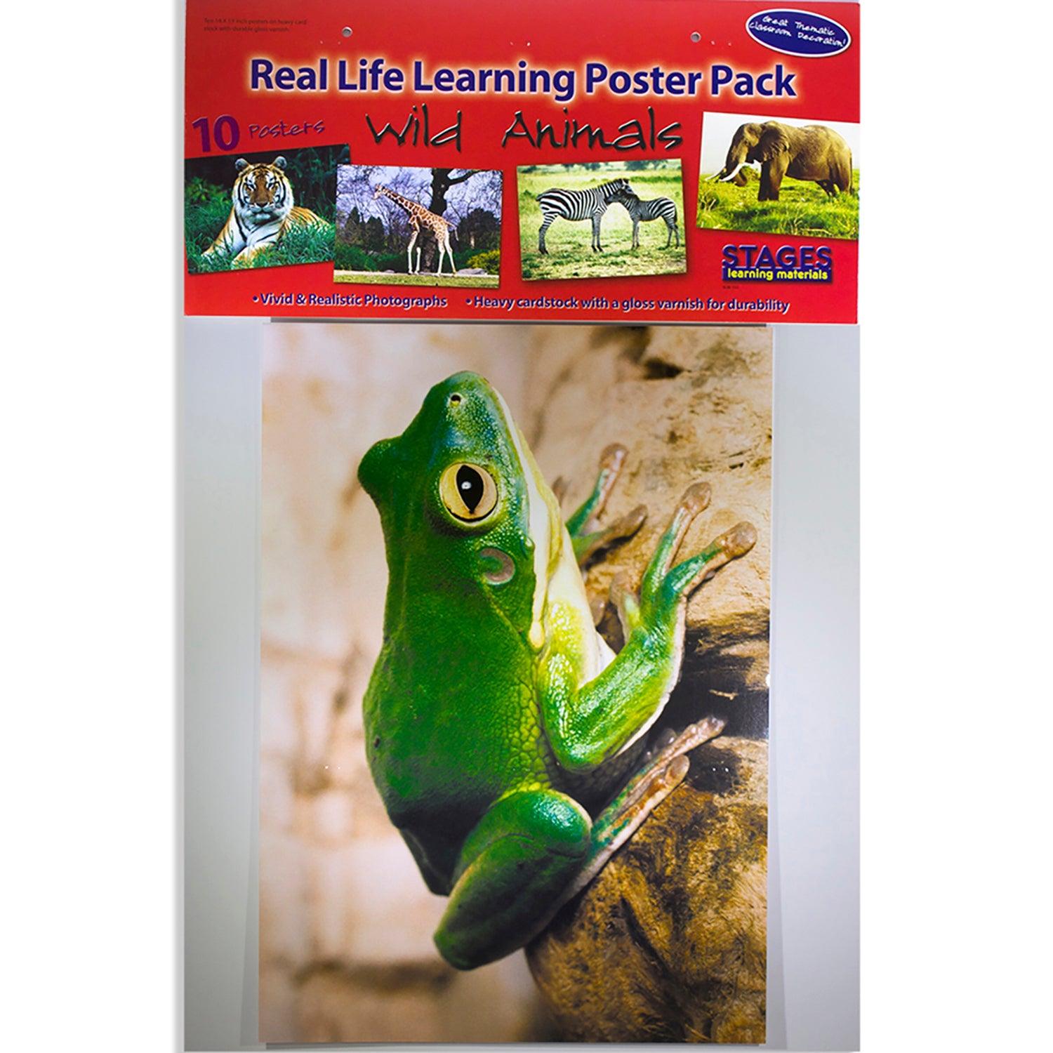 Wild Animals Poster Set, Set of 10 - Loomini